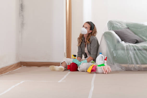 Trusted Basement Mold Remediation service in Lake Dallas, TX - Cheap Mold Removal